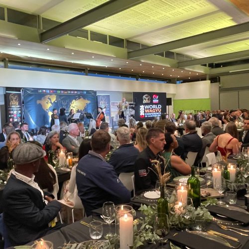 Gala Dinner 2